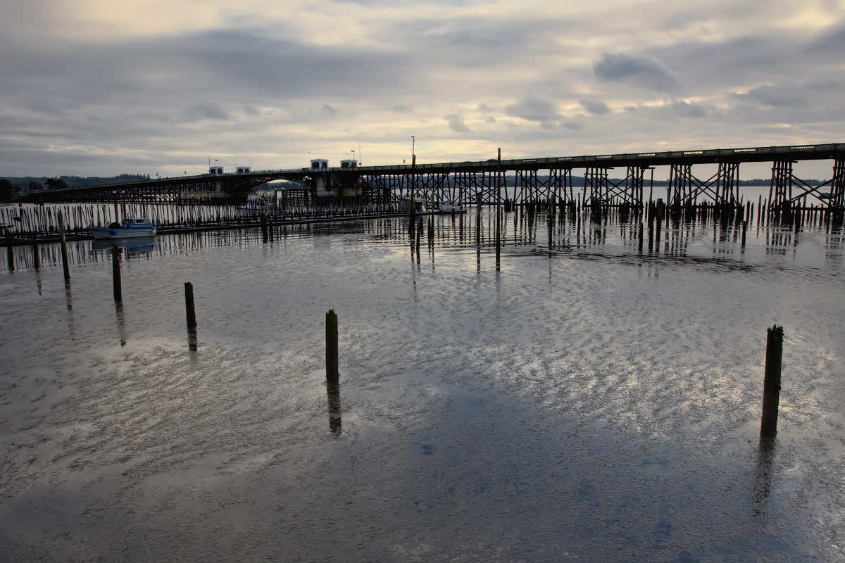 Scenery near the 2026 Great Columbia Crossing 10K Run/Walk course in Astoria, Oregon
