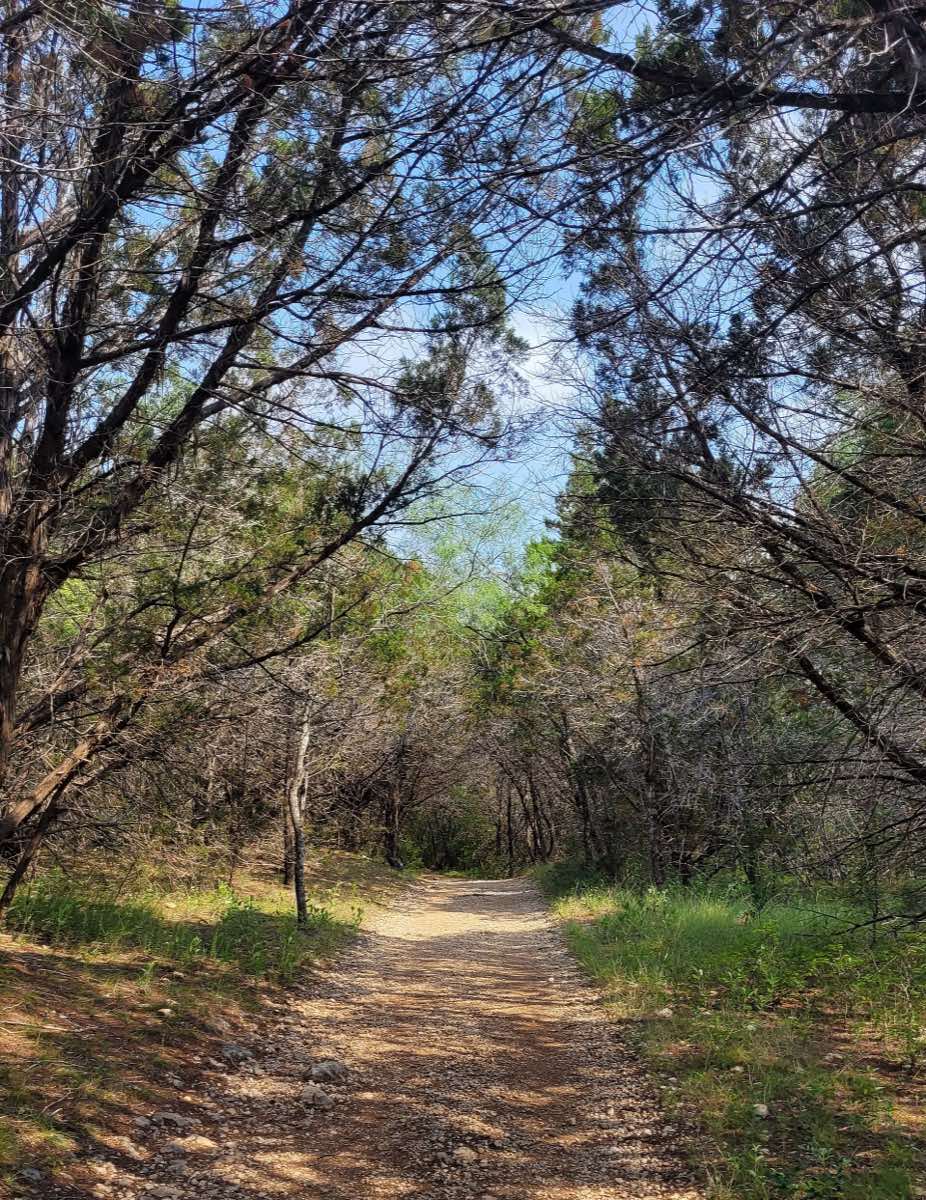 Landscape near San Antonio, Texas