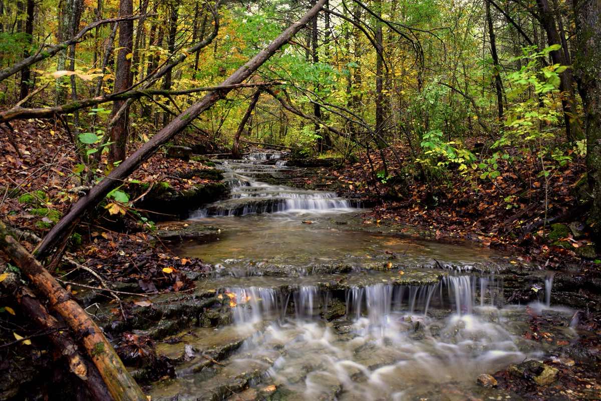 Scenery near the Little Heroes Park Mountain Run/Walk course in Walnut Shade, Missouri