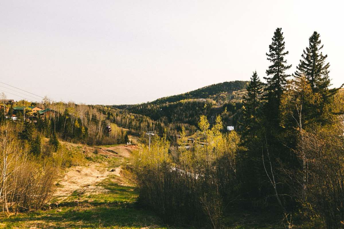 Scenery near the Superior Fall Trail Race course in Lutsen, Minnesota